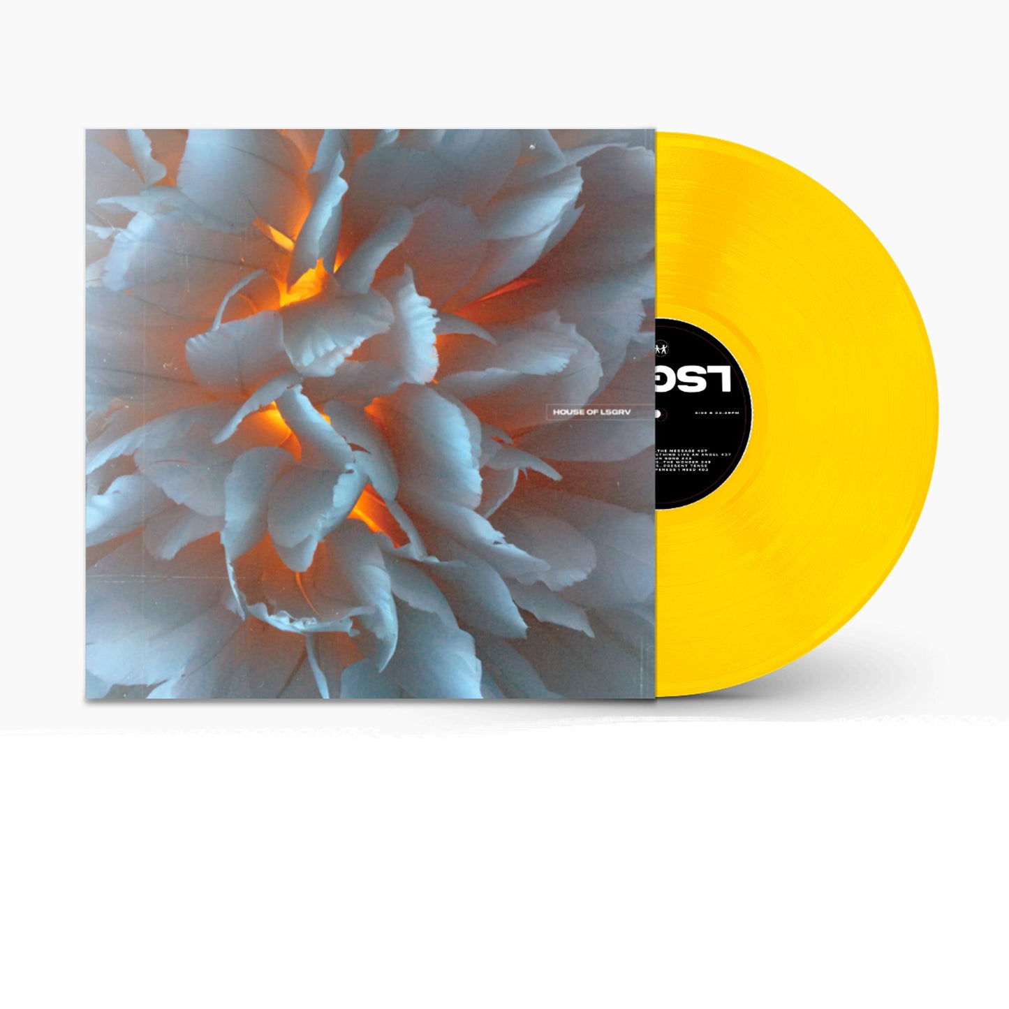 House of LSGRV: 2024 Loosegroove Records Compilation - 12"